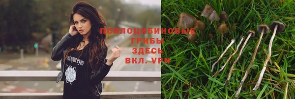 мяу мяу кристалл Инсар
